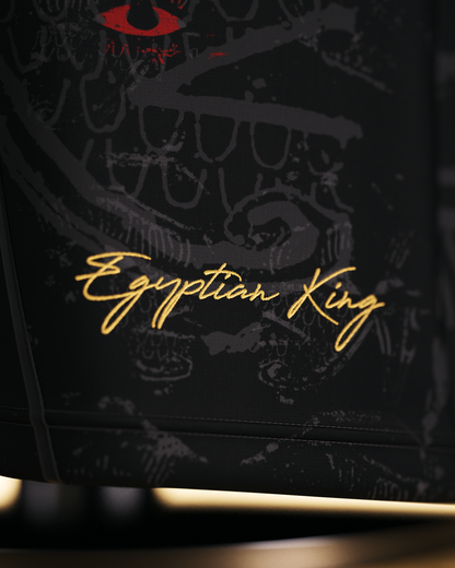 Egyptian King Jersey - Pre-Order (Mid July)